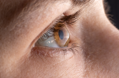 eye