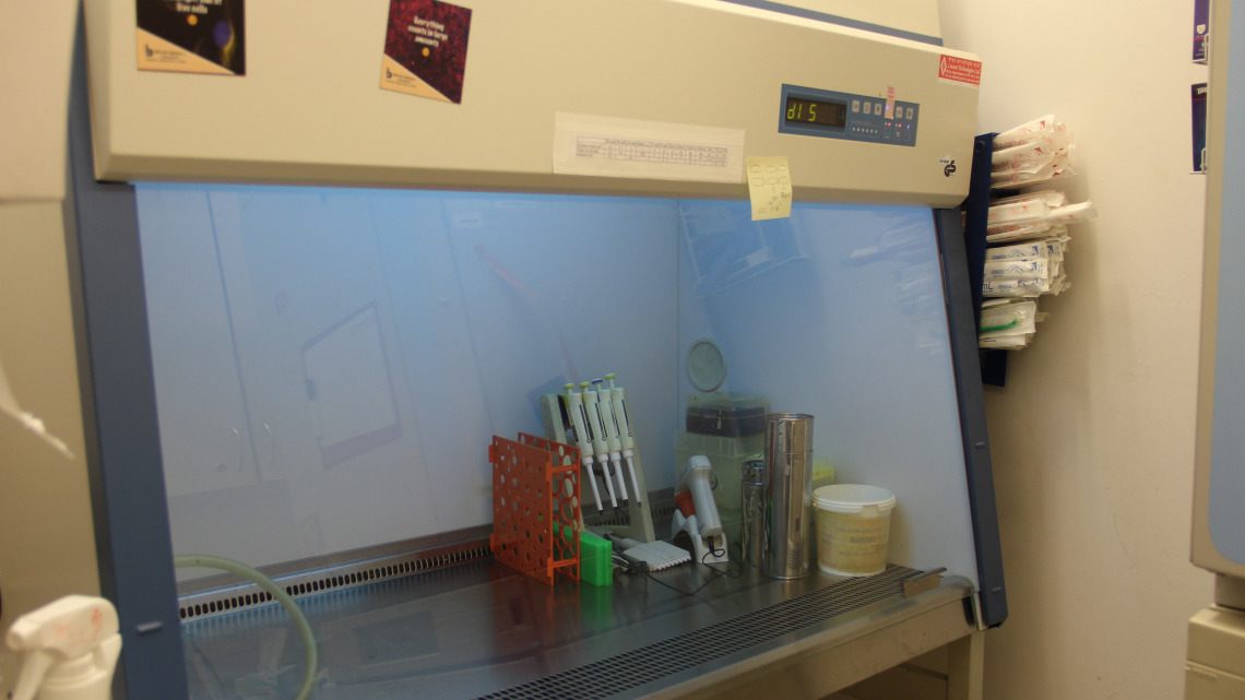 Microbiological Safety Cabinet Class 2