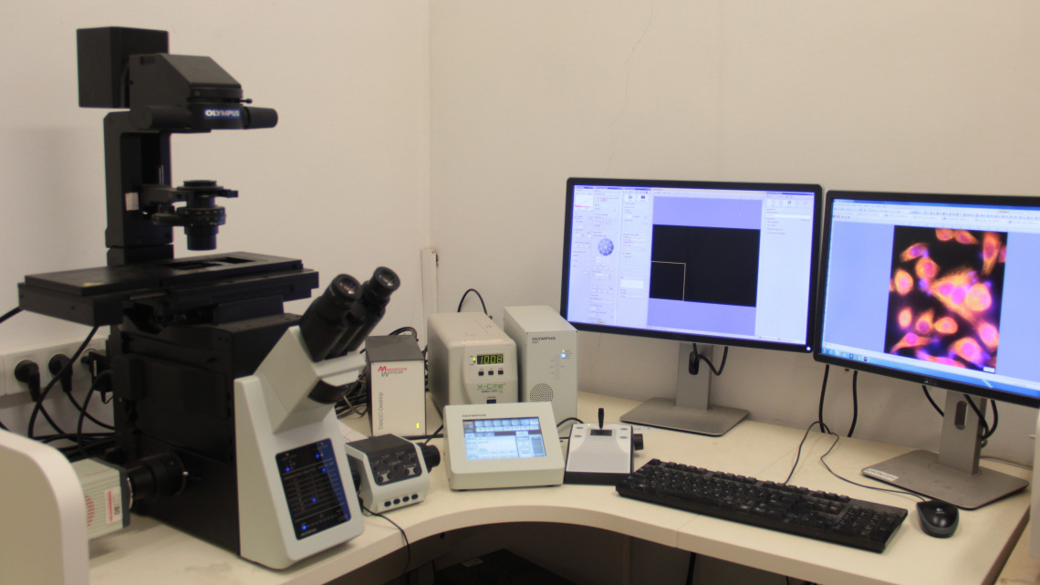 Olympus IX83 microscope